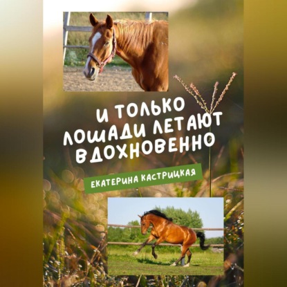 Аудиокнига И только лошади летают вдохновенно ISBN 