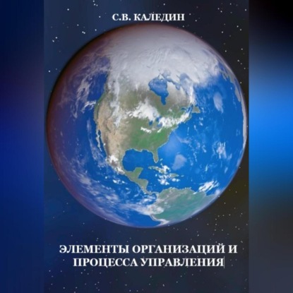 Элементы организаций и процесса управления - Сергей Каледин