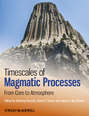 Timescales of Magmatic Processes