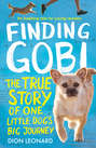 Finding Gobi: The true story of one little dog’s big journey