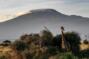 Килиманджаро. Путешествие на \"крышу Африки\"