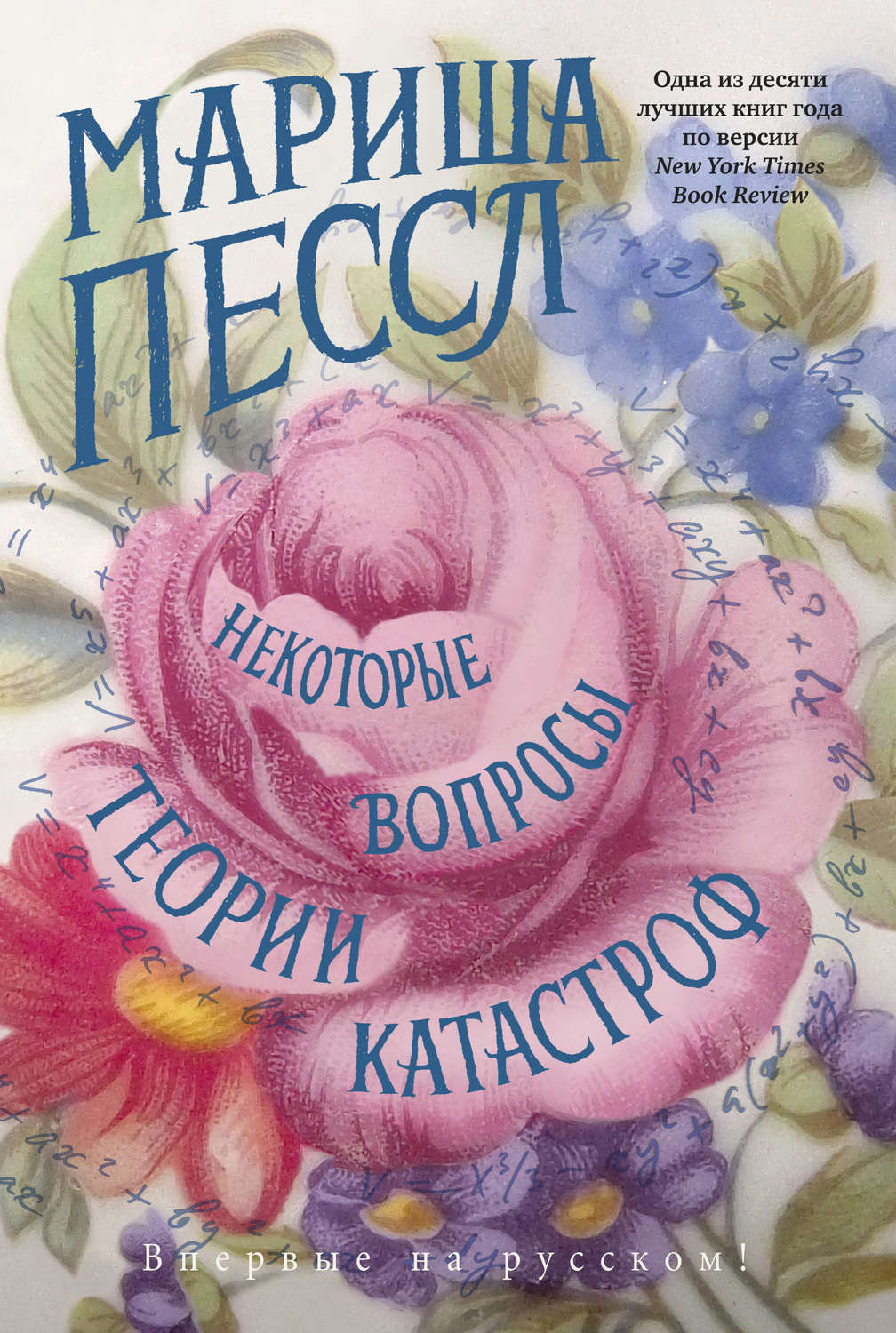Пессл некоторые вопросы теории катастроф. Пессл некоторые вопросы теории катастроф