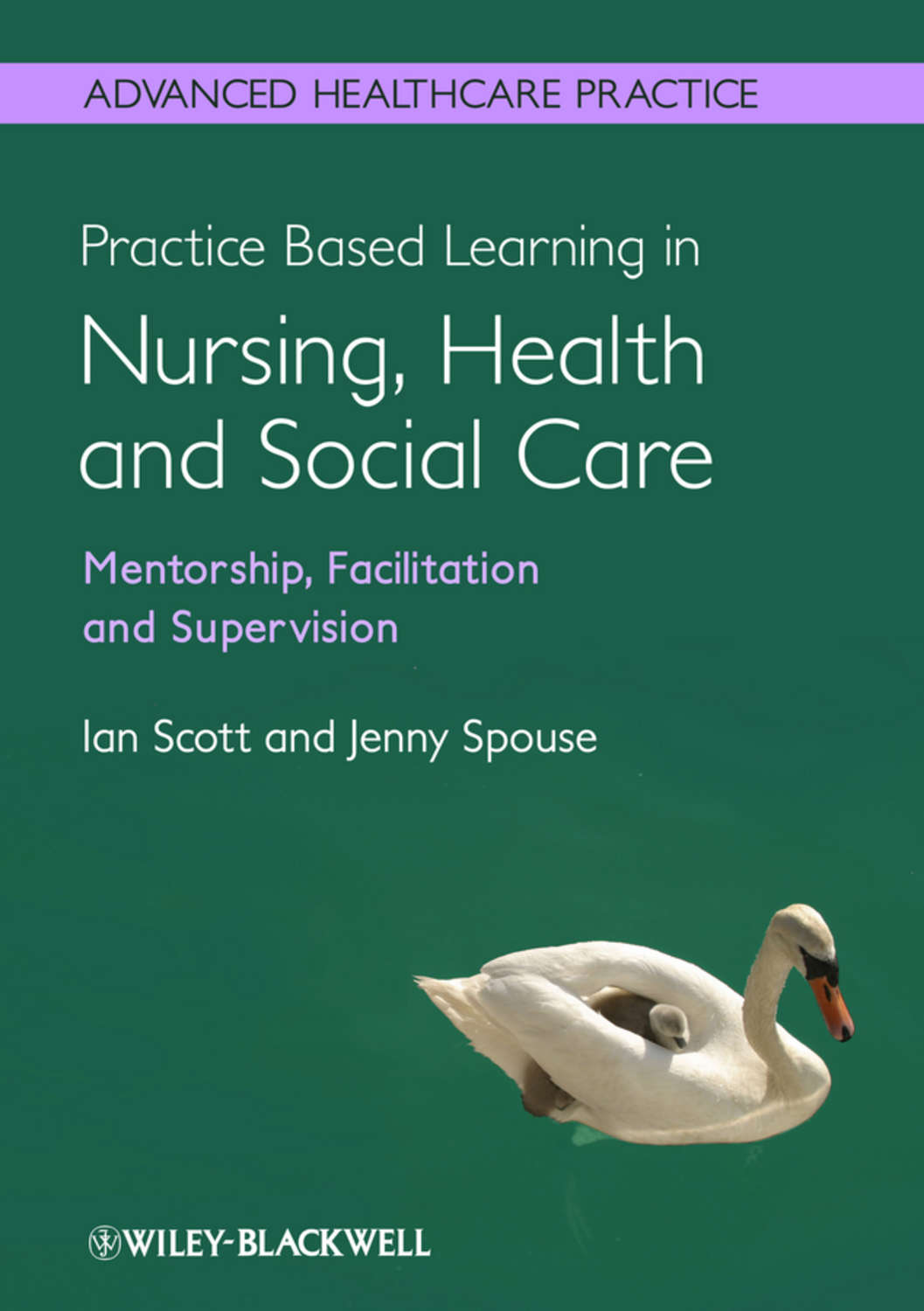 practice-based-learning-in-nursing-health-and-social-care-mentorship