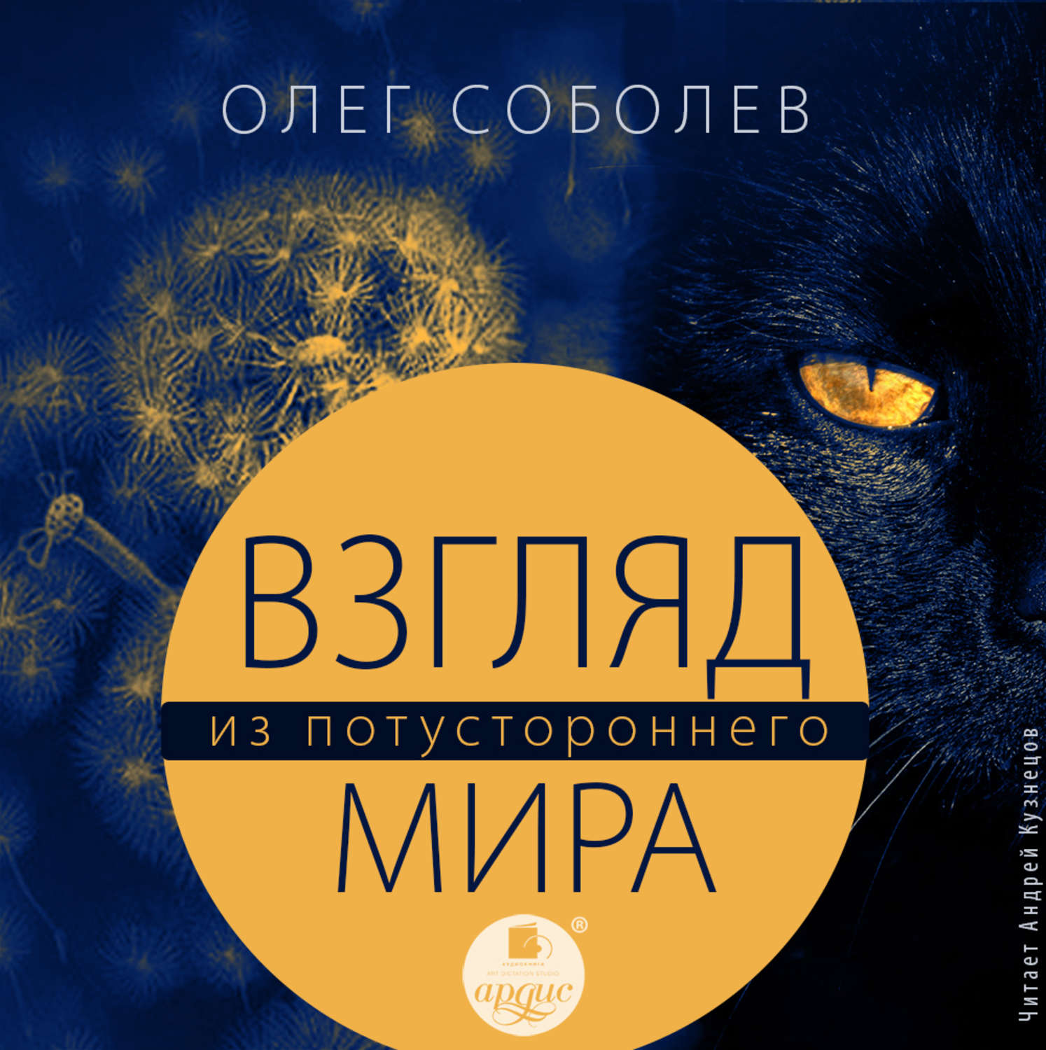 Слушать аудиокниги олега. Олег Соболев Озон. Взгляд Соболева. Соболев аудиокниги. Взгляд из ночи аудиокнига.