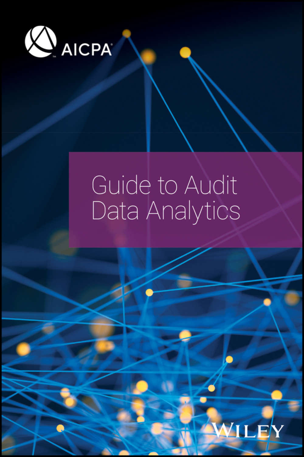 AICPA, Guide to Audit Data Analytics download as pdf at Litres