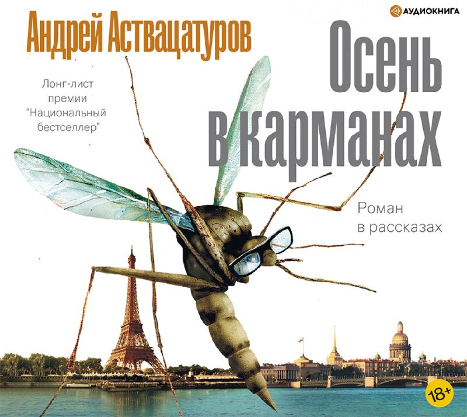 Аудиокниги осени. Осень в карманах Андрей Аствацатуров. Аствацатуров книги. Аствацату́ров книги. Андрей Аствацатуров осень в карманах читать онлайн.