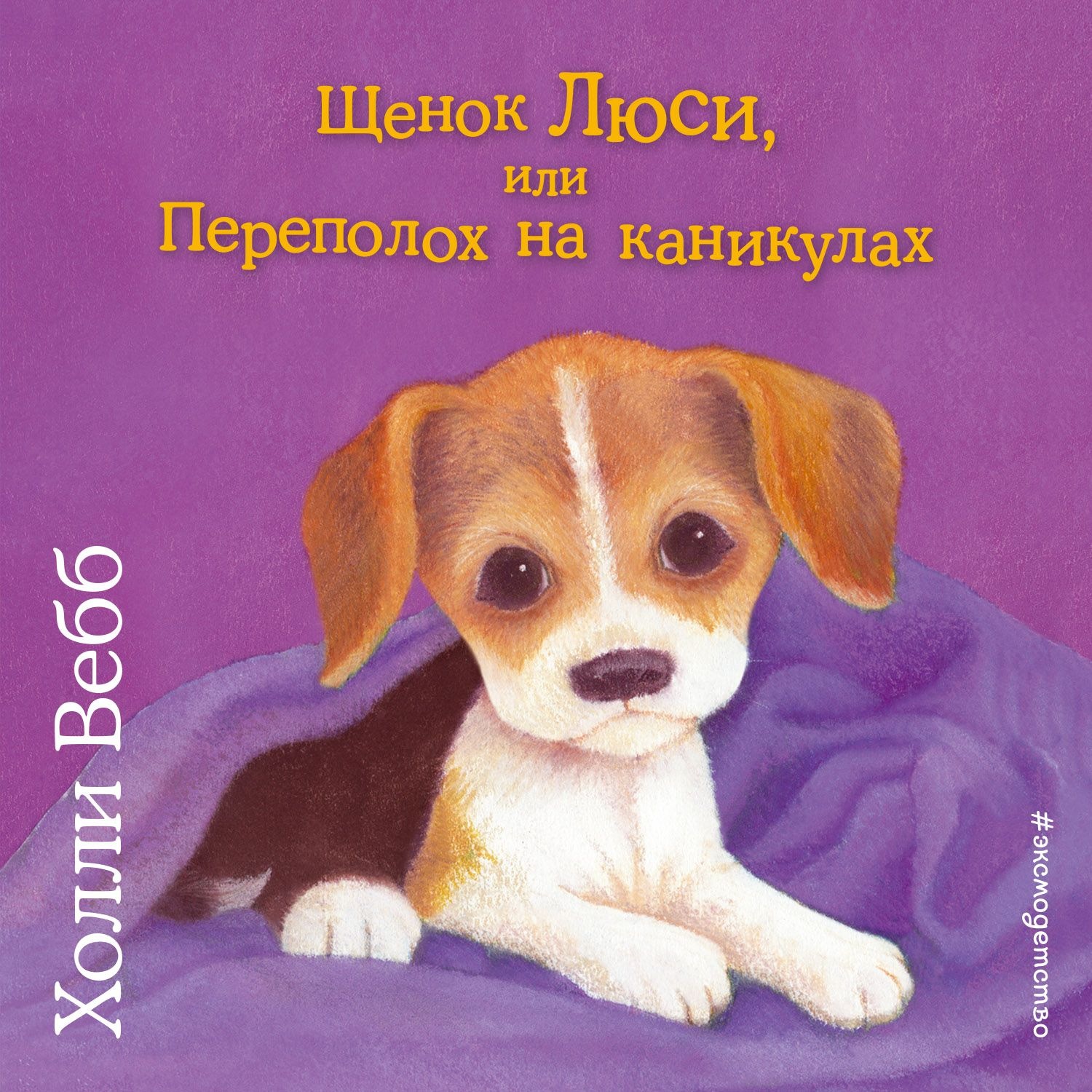 Холли Вебб, Щенок Люси, или Переполох на каникулах – слушать онлайн  бесплатно или скачать аудиокнигу в mp3 (МП3), издательство Эксмо