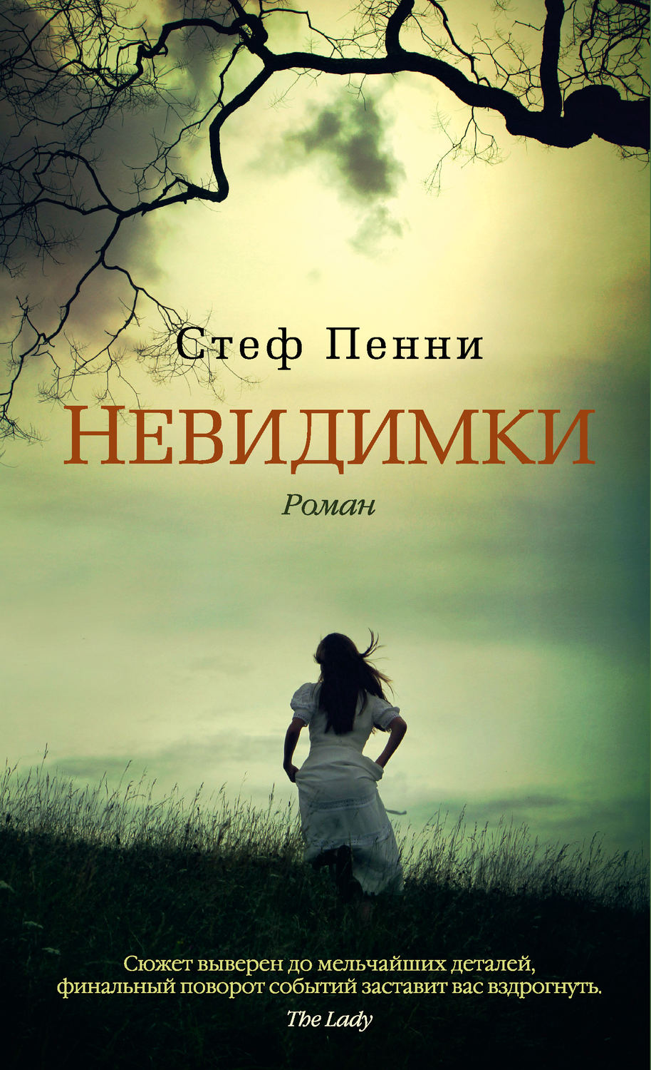 Invisible monsters. Стеф пенни невидимки. Невидимки книга Стеф пенни. Невидимка книга. Зарубежные книги.