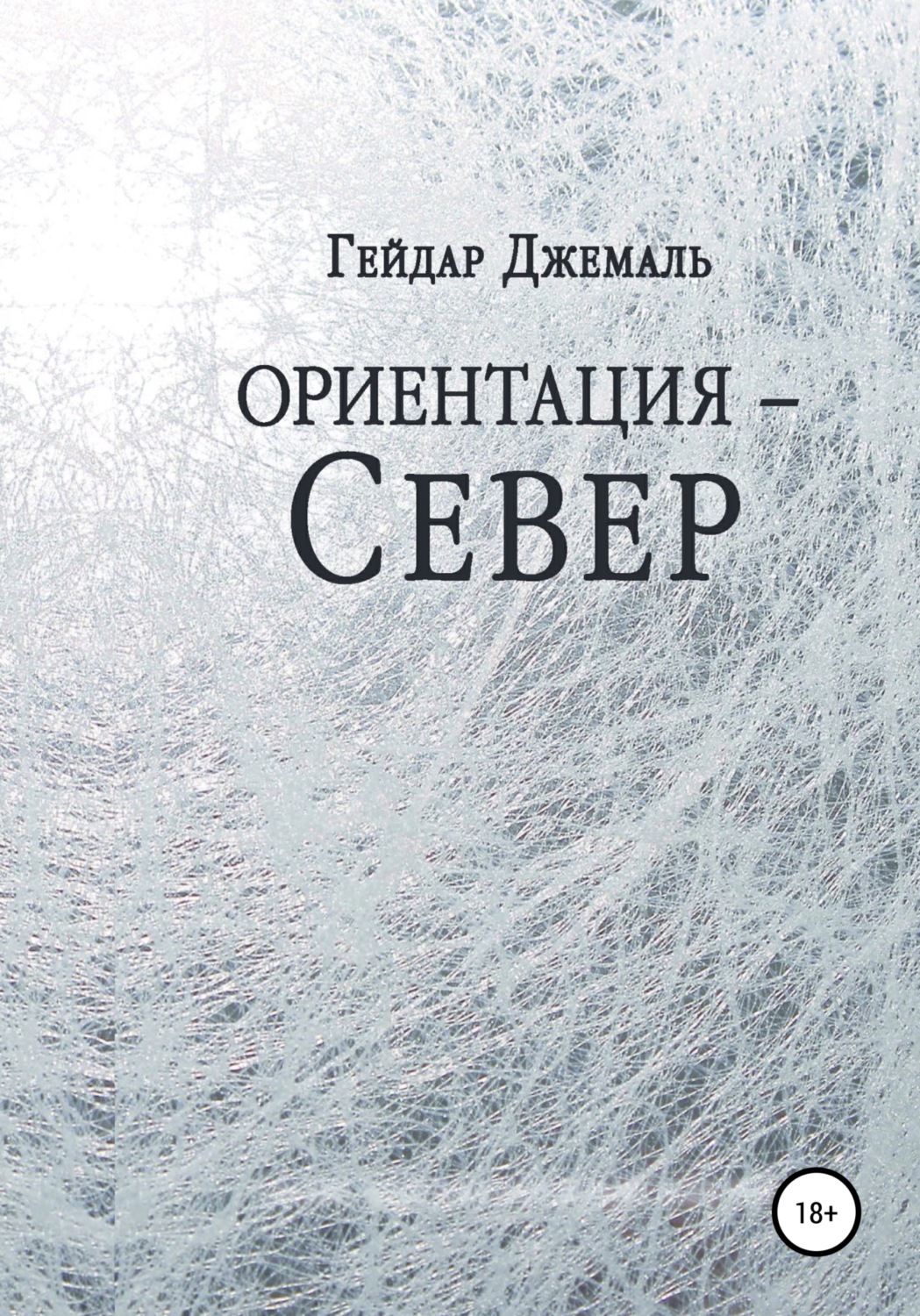 Цитаты из книги «Ориентация – Север» Гейдара Джахидовича Джемаля – Литрес