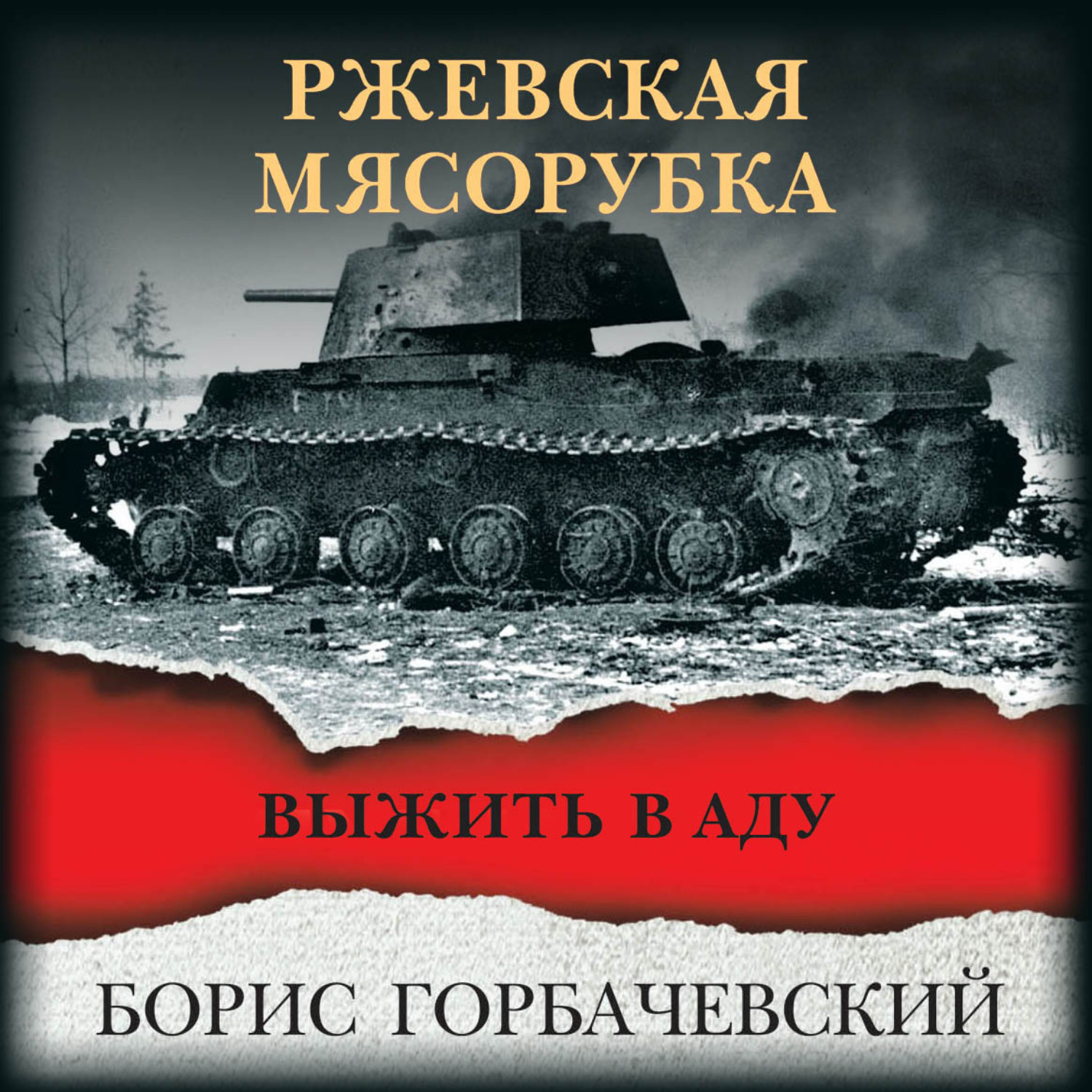 Ад аудиокнига слушать. Ржевская битва мясорубка. Ржевская мясорубка книга. РЖЕВСКИЙ кошмар глазами немцев.