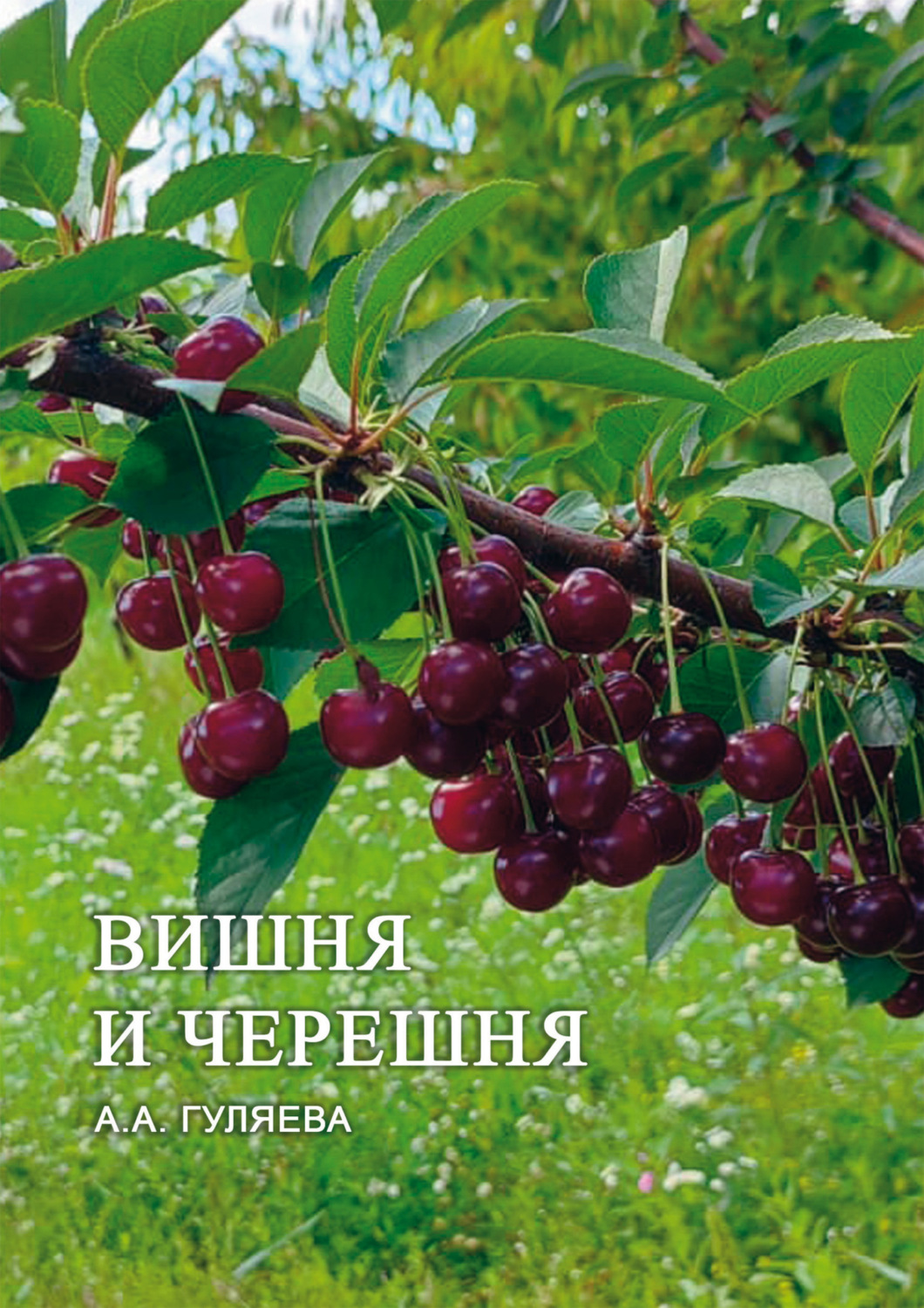 вишня книга фанфиков (120) фото