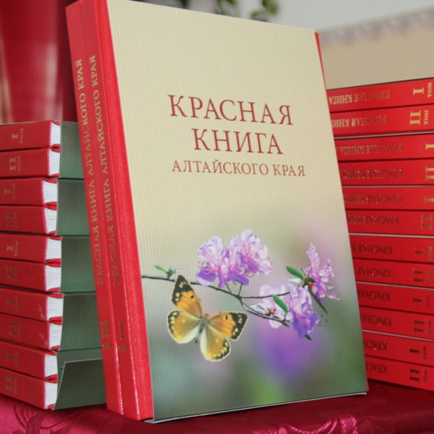 Сатори книги