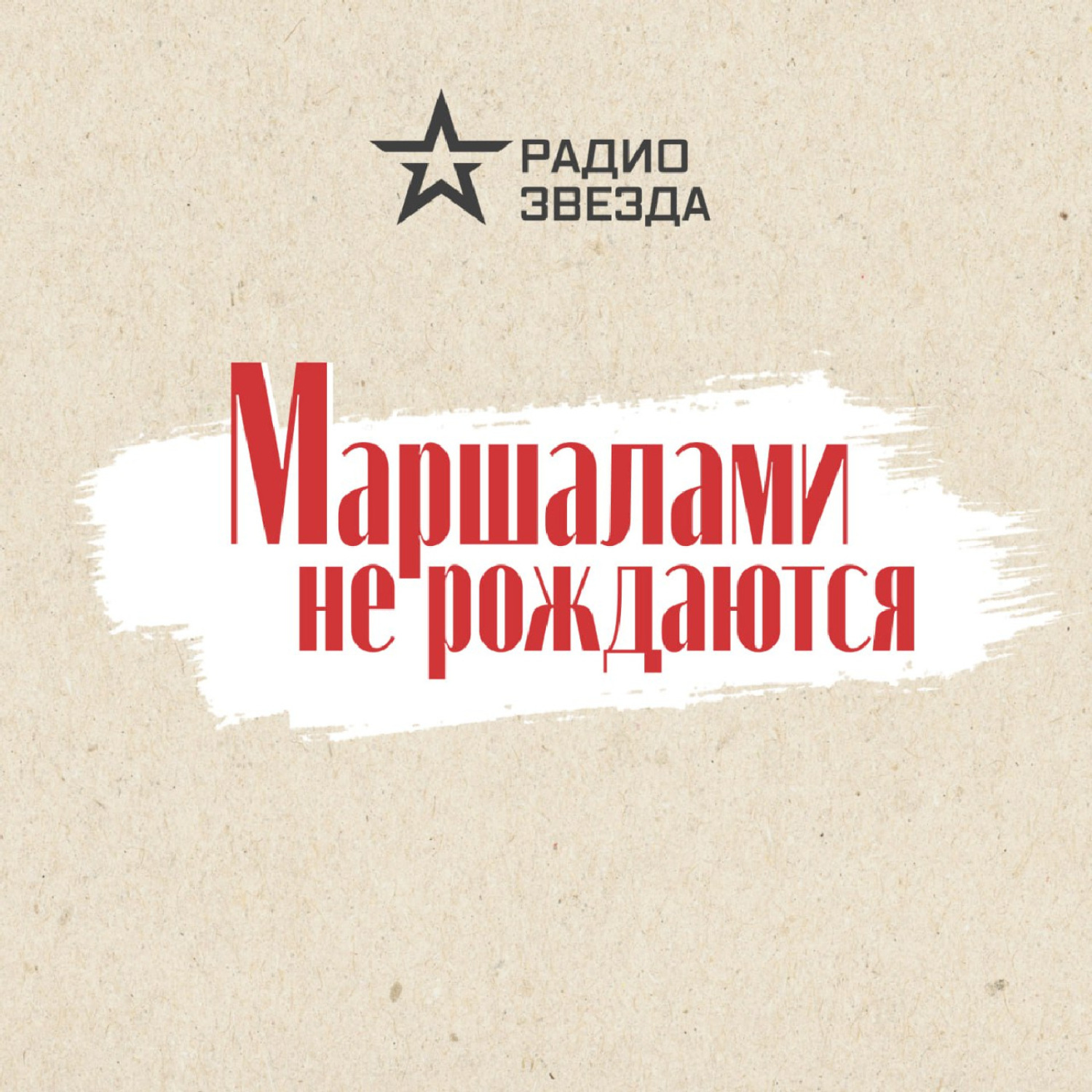 Радио ЗВЕЗДА книга Иван Конев. Эпизод 5 – скачать fb2, epub, pdf ...