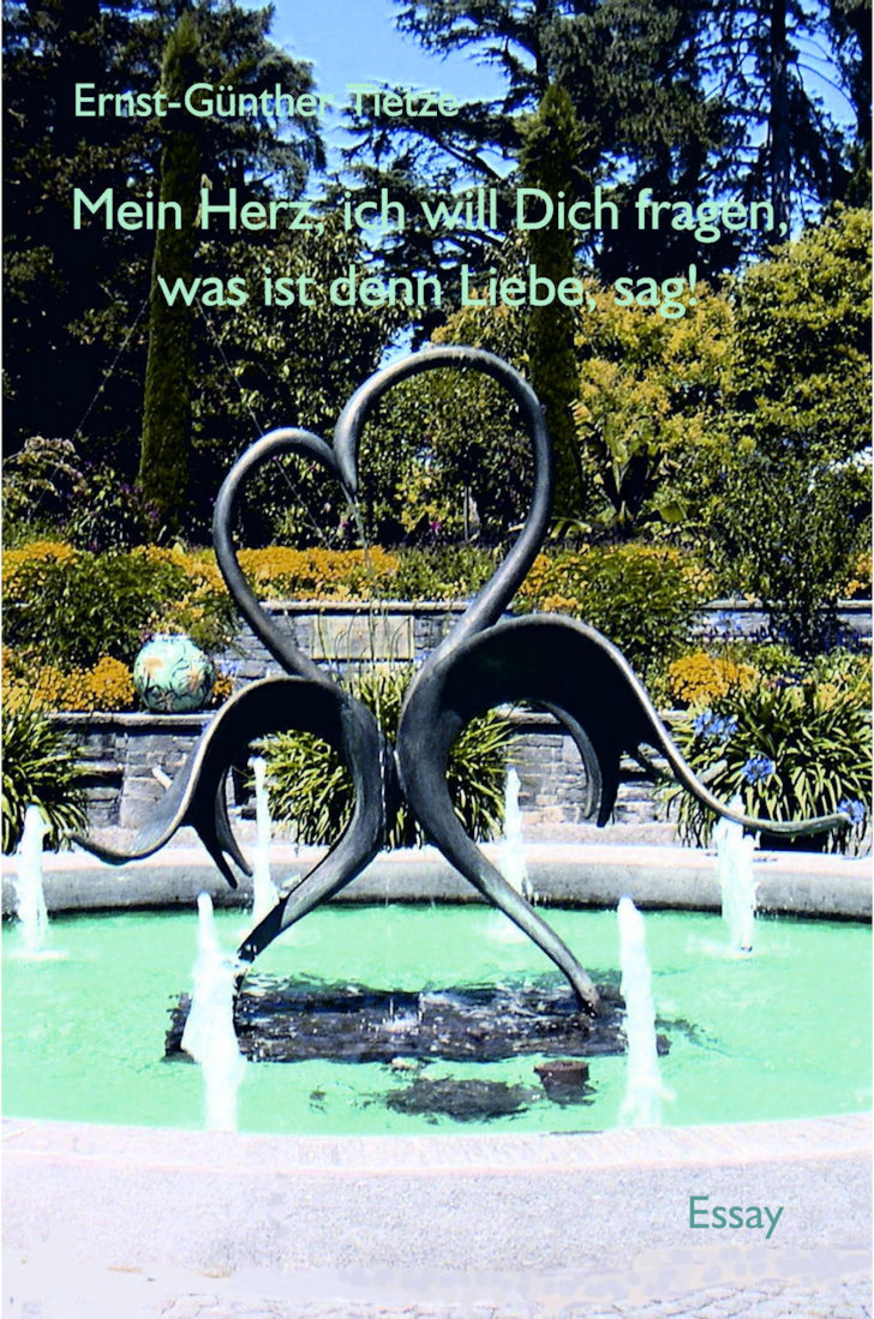 Читать онлайн «Mein Herz, ich will dich fragen, was ist denn Liebe, sag