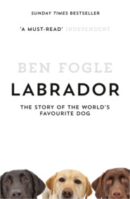 Labrador: The Story of the World’s Favourite Dog