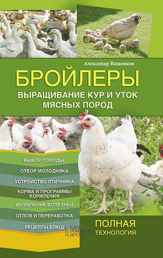Но молодняк онлайн