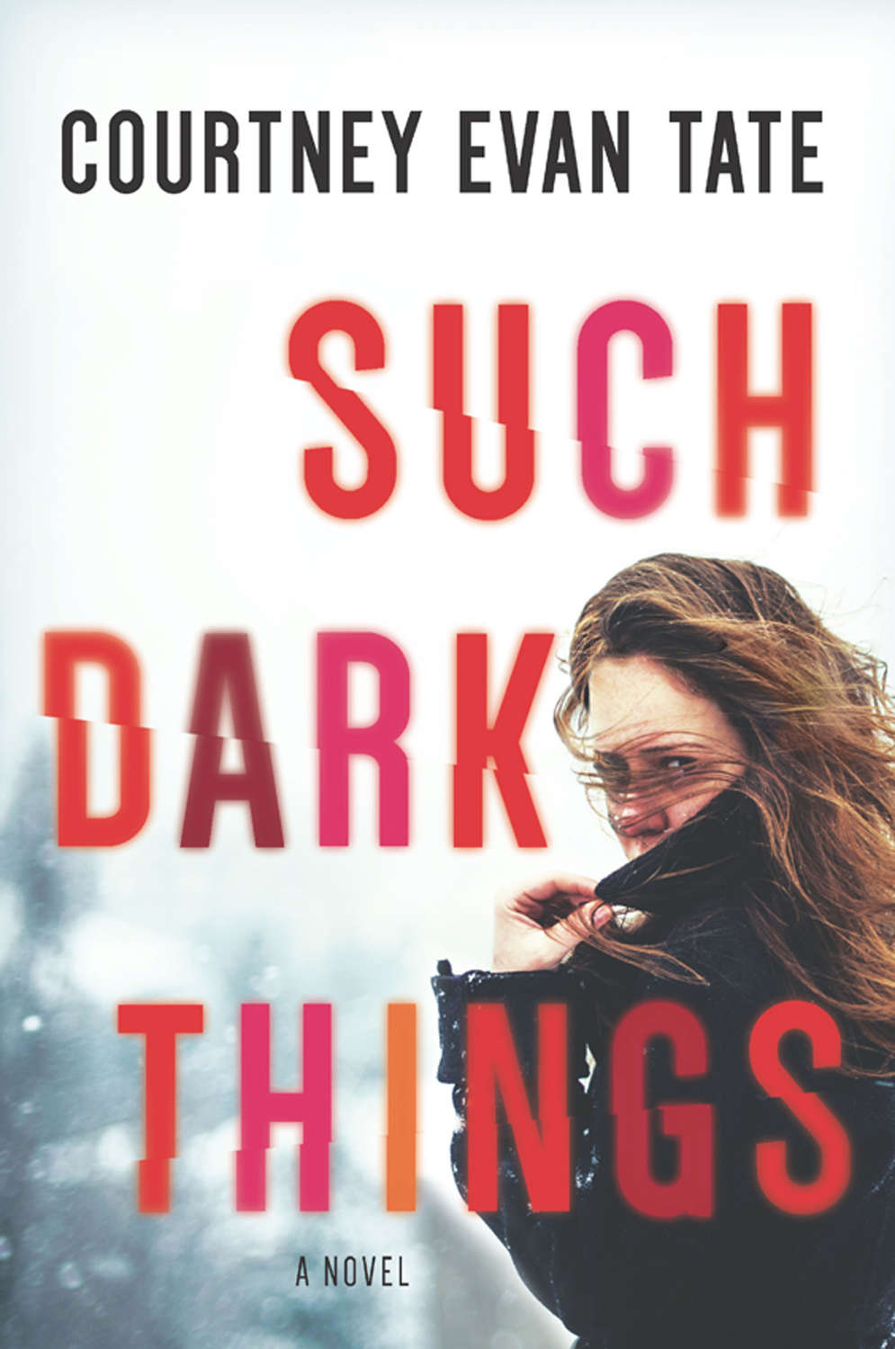 Such Dark Things - Courtney Tate Evan ЛитРес.