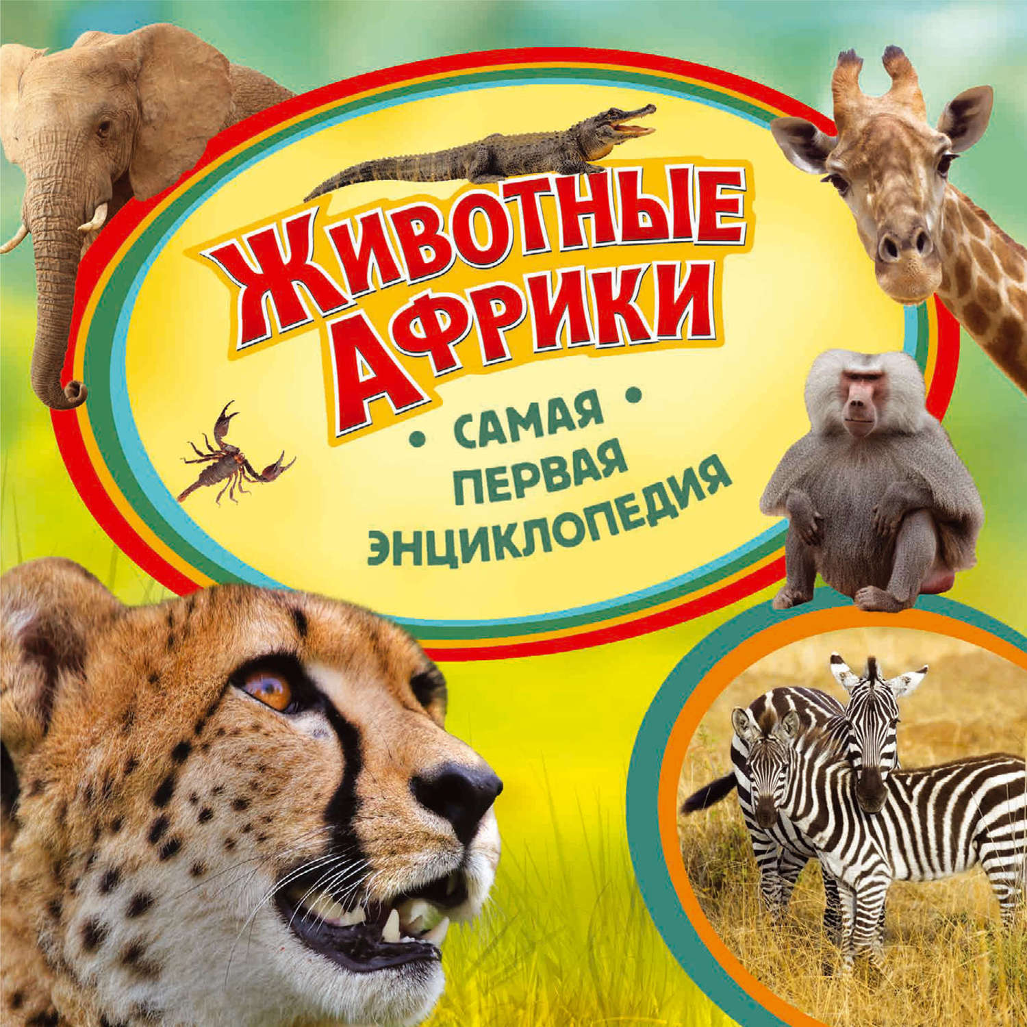 Энциклопедия Животных Фото