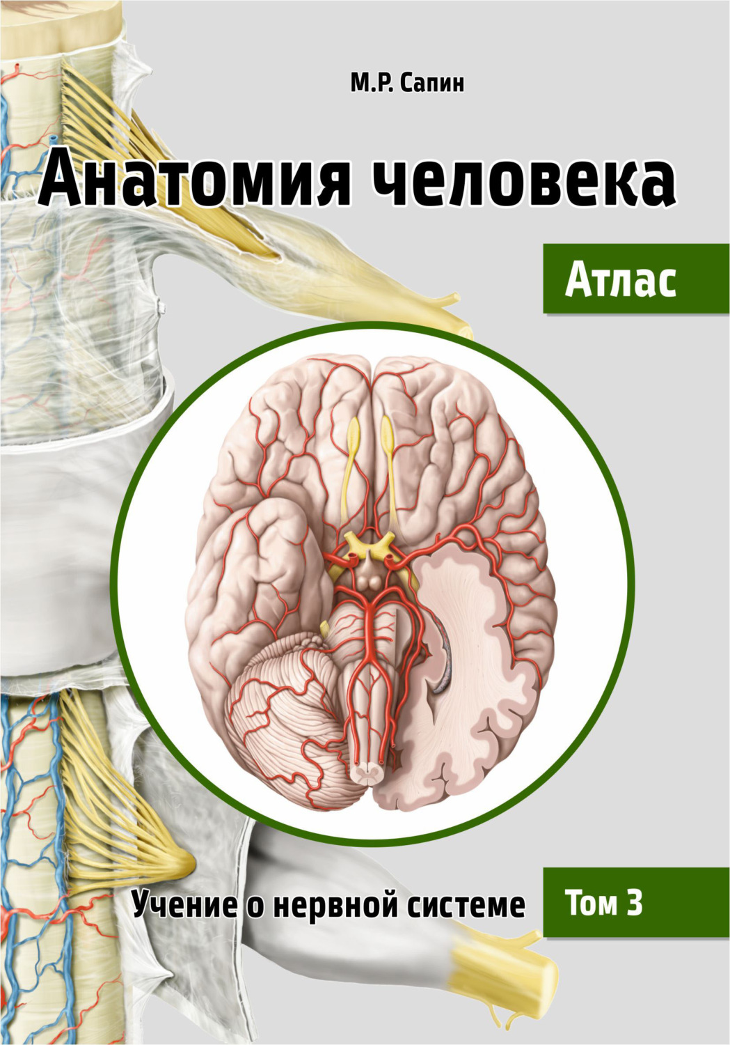 М. Р. Сапин, книга Анатомия человека. Атлас. Том 3. Учение о нервной ...